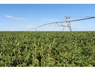Tract 3 - Edwards County, KS farmland - LAND AUCTION - 647+/- ACRES OFFERED IN 4 TRACTS IN RENO & EDWARDS COUNTY, KANSAS
